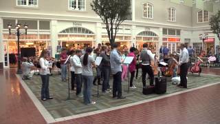 Beaufort Symphony Youth Orchestra FLASH MOB [upl. by Chuah39]