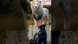 Black Panther vs White Animals  Wolf Lion Snake  shorts [upl. by Eivla24]