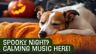 Relaxing Music for Dogs on Halloween  Calm Your Pet During Spooky Nights 🎃🐾 [upl. by Akamaozu]