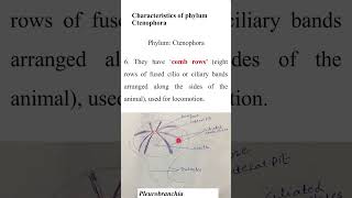 Characteristics of Ctenophorazoologyshort QuestionADSBs [upl. by Ahtnahc]