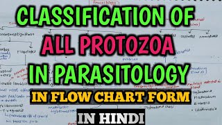 Parasitology  Classification of Protozoa in Microbiology  Classification of Parasites Flow Chart [upl. by Stine]