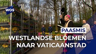 Westlandse bloemen naar Vaticaanstad [upl. by Nalad847]