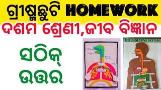 Class 10 Life Science  Summer Vacation Holiday Homework 2024 [upl. by Ahsinauj]