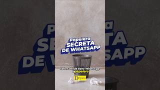 Papelera secreta de WhatsApp para Android 🗑 [upl. by Burgener]