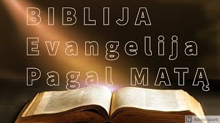 EVANGELIJA PAGAL MATĄ BIBLIJA [upl. by Olga]