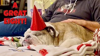 Reuben the Bulldog A Birthday Story [upl. by Krutz]