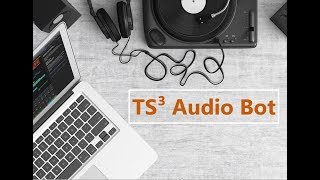 Tutorial Installation vom TS3AudioBot  TeamSpeak  Whisper  FREE [upl. by Ylenaj]