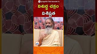 విశుద్ధ చక్రం విశిష్టత youtubeshorts chakras sreesannidhitv [upl. by Relluf250]