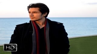 Item Song Bhi Karna Hai To Kar Loonga  Ali Zafar [upl. by Neimad]