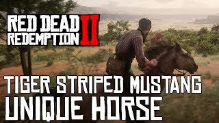 Red Dead Redemption 2 HOW TO GET TIGER STRIPED MUSTANG UNIQUE HORSE [upl. by Ennazus]