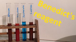 Benedicts reagent  A simple alternative to Fehlings reagent [upl. by Senecal]