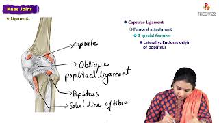 16 Knee Joint  Anatomy  MBBS Lecture [upl. by Ikcir]