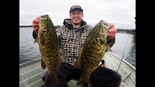 Smallmouth bass Largemouth bass Walleye amp Pike fishing on Shoal Lake [upl. by Kayle]