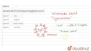 Axoneme with 92 microtubular arrangement occurs in [upl. by Meluhs]