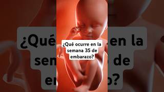 🤔 ¿Qué ocurre en la semana 35 de embarazo 🤰 Síntomas y desarrollo del bebé [upl. by Kraus641]