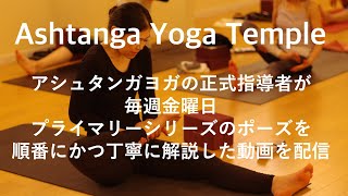 Ashtanga Yoga Temple（アシュタンガヨガ テンプル）アシュタンガヨガ プライマリーシリーズ [upl. by Brawley]