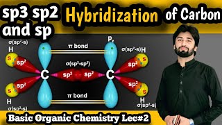 Hybridization  sp3 sp2 and sp hybridization of carbon  Hybridization of Carbon hybridization [upl. by Kirrad]