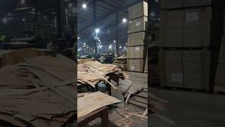 greenply factory vlog 01 shorts ankitkevlogs 🥰 viral vlogs [upl. by Zetrac]