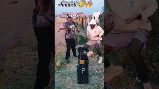 Amabele Amapiano amaentertainer sowetosfinest Hadiwele🔥🔥🕹 NewDancechallenge viralvideo [upl. by Ellery]