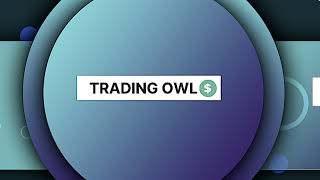 TRADING OWLZ Live Stream [upl. by Acinad]