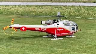 Alouette III  RC Scale Helicopter [upl. by Heber214]