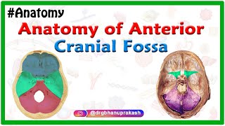 Anatomy of Anterior cranial Fossa [upl. by Cheng]