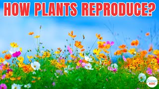 How Do Plants Reproduce [upl. by Trisa102]