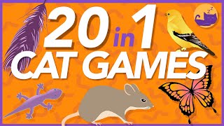 20 in 1 GAMES FOR CATS  12 hours of Sensory Fun for Bored Cats 🐱 [upl. by Eelarbed]