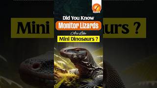 Did You Know Monitor Lizards Are Like Mini Dinosaurs [upl. by Crofton]