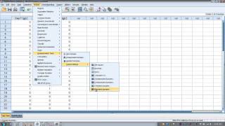 How to Use SPSS Cochrans Q Test [upl. by Naxela]