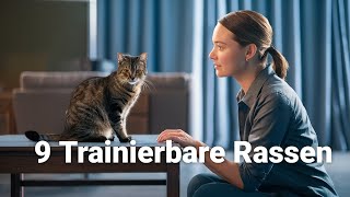 9 erstaunliche Katzenrassen die du trainieren kannst katze schlauekatze [upl. by Halyahs]