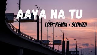 Aaya Na Tu Lofi remix  Arjun Kanungo Momina Mustehsan  Music Lovers  Slowed amp Reverb [upl. by Faxun]