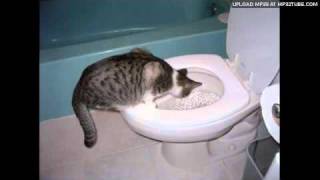 Stuart McLean  Toilet Training The Cat Part 1 [upl. by Sparks419]