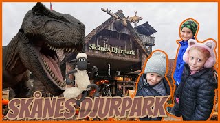 Familjen besöker Skånes Djurpark och blir jagade av dinosaurier på HALLOWEEN VLOGG [upl. by Nina]