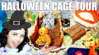 HALLOWEEN HAMSTER CAGE TOUR 🎃  PET CAGE TOUR [upl. by Guilbert]