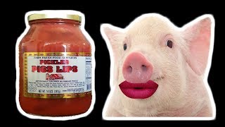 Lets Try Pickled Pig Lips  Pickled Meat in a Jar  WHAT ARE WE EATING  The Wolfe Pit [upl. by Kusin661]