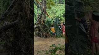 The floodwaters washed away all the houses and there was no one to live in [upl. by Ban]