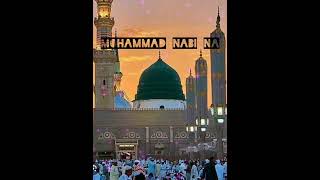 Muhammad nabina  naat  Ayesha Abdul Basit Islami naatesharif [upl. by Trish]