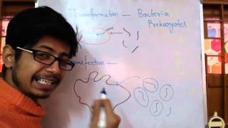 Transformation Vs Transfection [upl. by Helen]