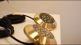 What makes Lumishore Underwater LED Lights the brightest [upl. by Eimrots]