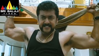 Singam Yamudu 2 Santhanam Anushka Comedy  Suriya Anushka Hansika  Sri Balaji Video [upl. by Mccully]