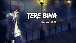 Tere Bina  Very Sad Song 🥺🥺😞  2024 [upl. by Elleirol]