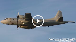 Lockheed P3C Orion  German Navy 6004  fly by at Manching Air Base [upl. by Lyssa]