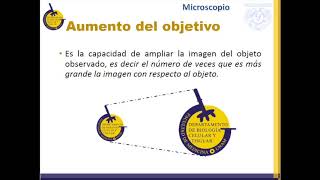 Temp1 Cap1 Epi1 Microscopia [upl. by Lubbock]