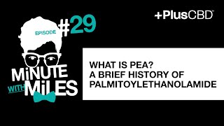 What is PEA A Brief History of Palmitoylethanolamide [upl. by Gurevich91]