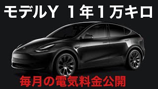 テスラモデルY 1年1万キロ ほぼスーパーチャージャー使わない 充電性能気にする必要ない？ 自宅充電の毎月の電気料金公開します。 [upl. by Nalliuq432]