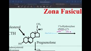 Biochemistry L3 C1C2 Introduction P3 [upl. by Lavine249]