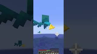 Villager Protection Fence Luck 8989 Moment memes minecraft shorts [upl. by Nnorahs620]