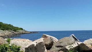 Oarweed Cove Restaurant View Ogunquit Maine [upl. by Slinkman166]