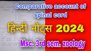 Comparative account of Spinal cord  Msc 3rd sem zoology  subject  Comparative [upl. by Couq848]